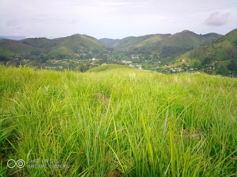 Nzeŋgòŋ Bʉ̀ʉ Yamba