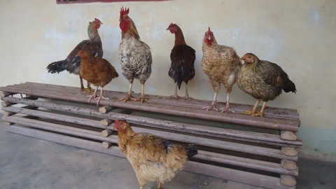 BɄ̀ YAMBA WÈEŊ MÈꞋRƏGƏ̀ MVƏP