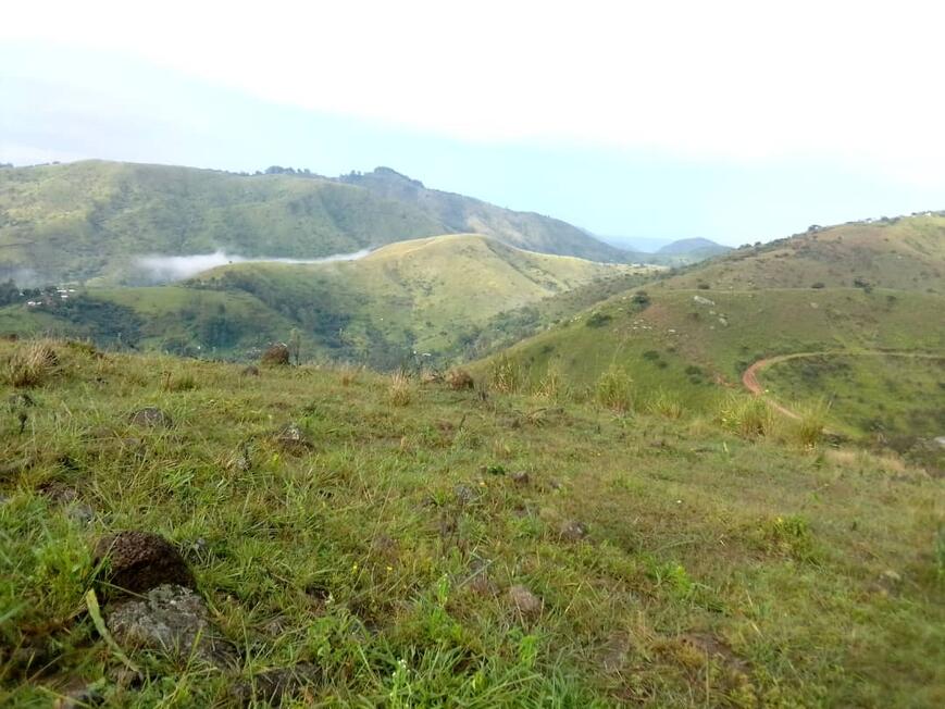 Panoramic view of Yamba landscape